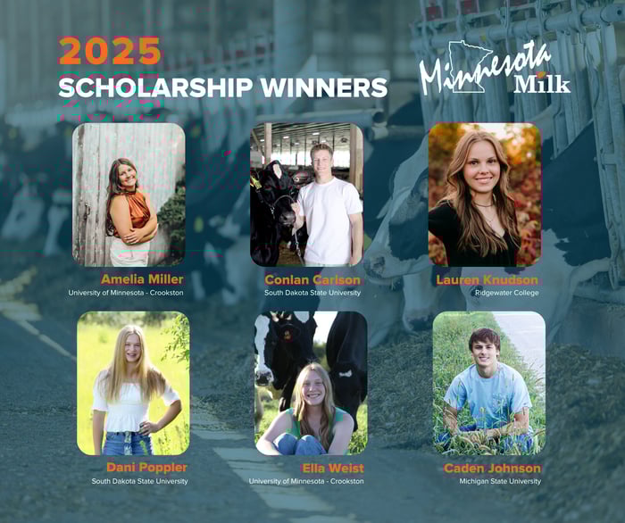 25 MN Group Winners