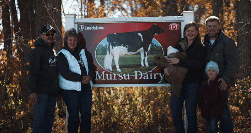 mursu-family